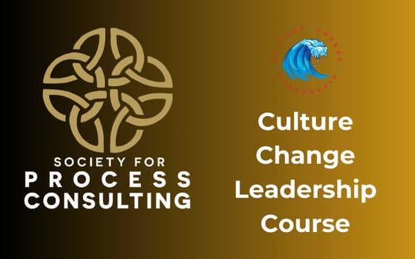 Culture ChangeLeadership Course-1