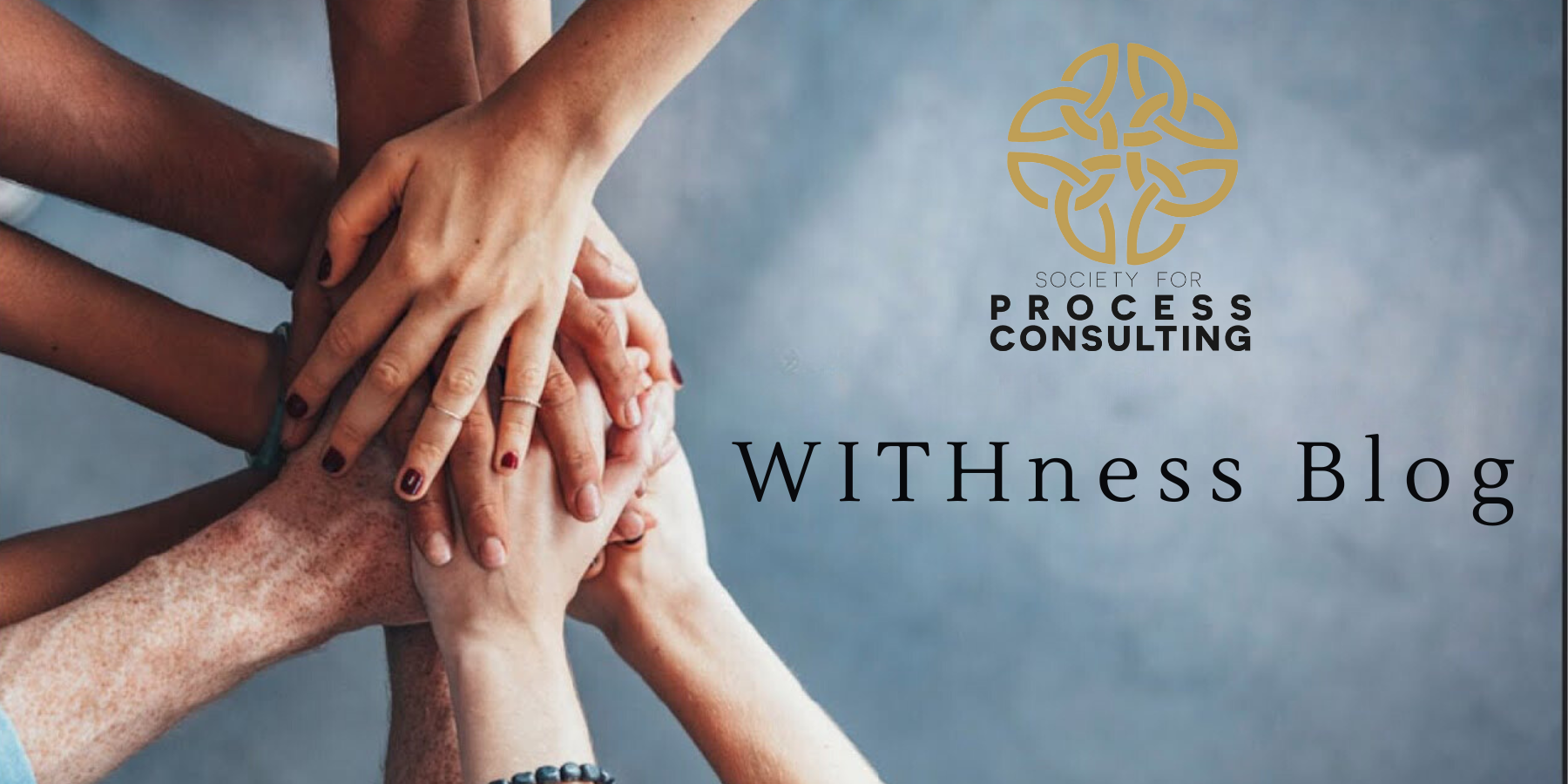 Withness Blog (2)